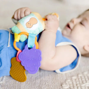 Melissa & Doug PB&J Take-Along Toy for baby! New