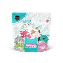 Load image into Gallery viewer, Pop Fidgety - Squishmallows Mystery Blind Bag